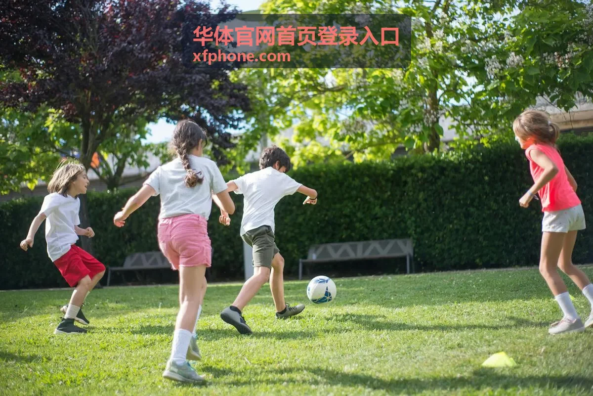 华体官网首页登录入口账号通道界面展示