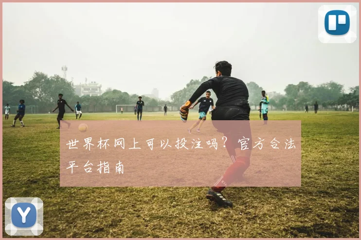 世界杯网上可以投注吗？官方合法平台指南