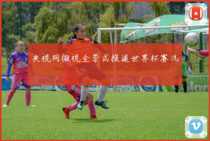 央视网微视全景式报道世界杯赛况