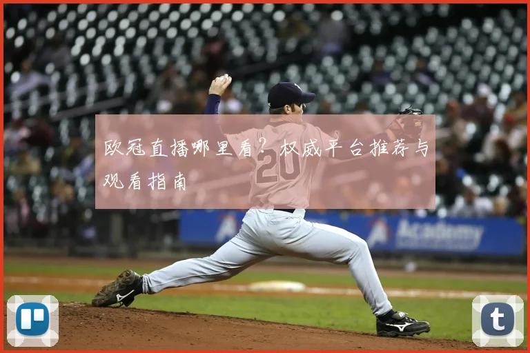 欧冠直播哪里看？权威平台推荐与观看指南