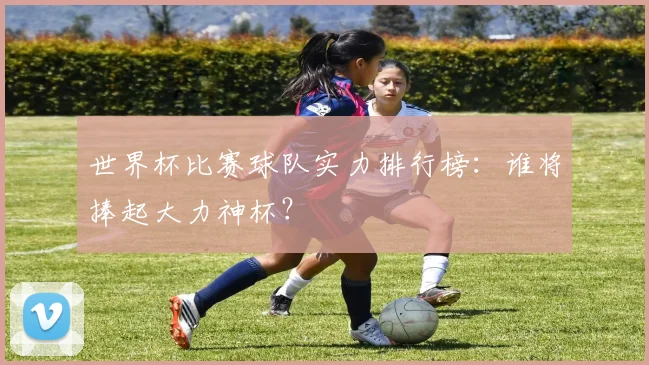 世界杯比赛球队实力排行榜:谁将捧起大力神杯?