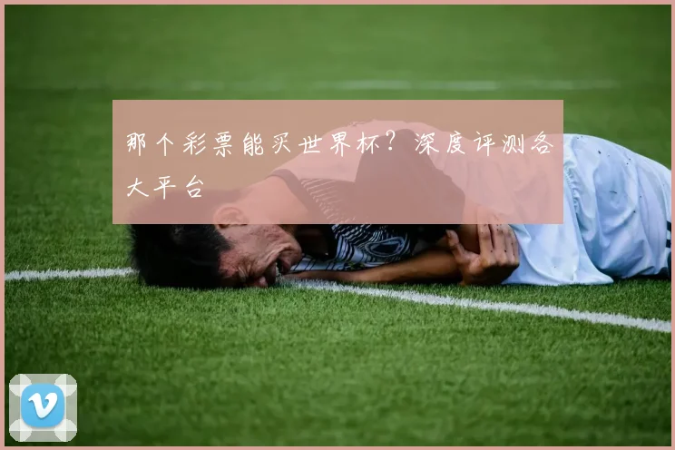 那个彩票能买世界杯?深度评测各大平台