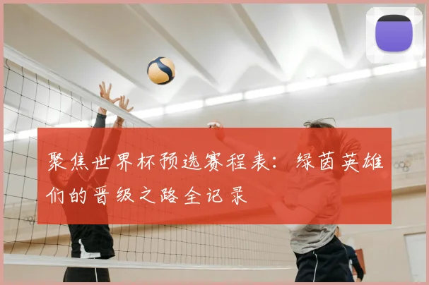 聚焦世界杯预选赛程表:绿茵英雄们的晋级之路全记录
