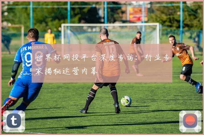 世界杯网投平台深度专访：行业专家揭秘运营内幕