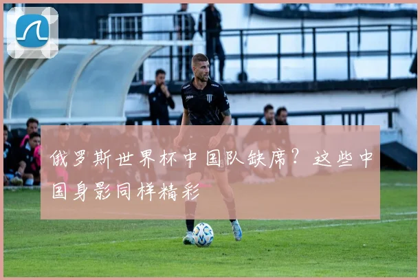 俄罗斯世界杯中国队缺席？这些中国身影同样精彩