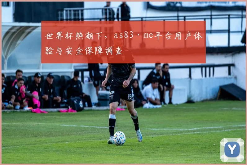 世界杯热潮下，as83·me平台用户体验与安全保障调查