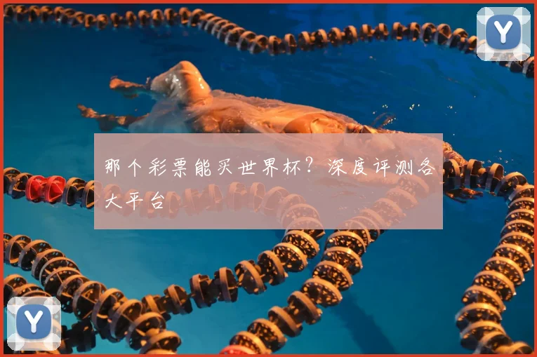 那个彩票能买世界杯？深度评测各大平台
