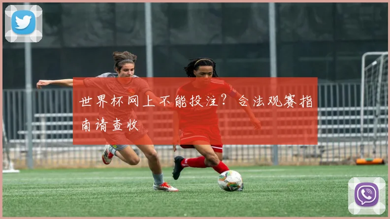 世界杯网上不能投注？合法观赛指南请查收