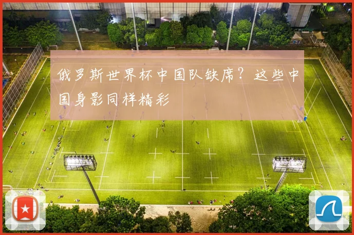 俄罗斯世界杯中国队缺席？这些中国身影同样精彩