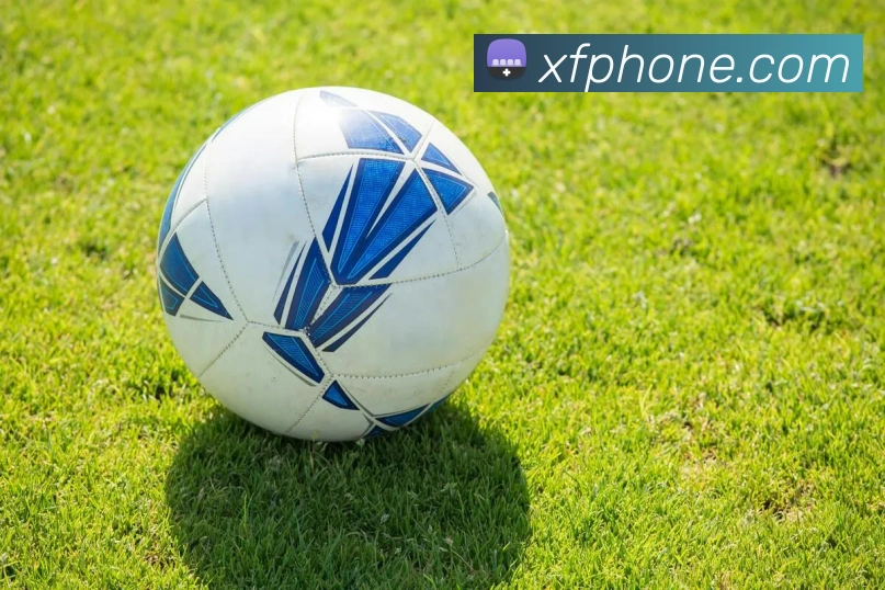 登录器
